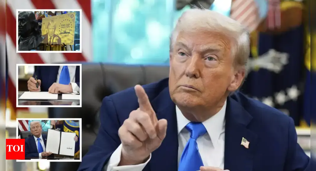 <div>Trump's crackdown on immigration: H-1B visas set to get costlier, work permits for Indians may take a hit – 10 things to know about 'Project Firewall'</div>