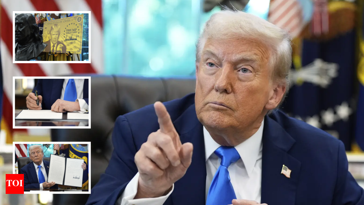 Donald Trump's crackdown on immigration: H-1B visas set to get costlier,  work permits for Indians may take a hit – 10 things to know about 'Project  Firewall' - The Times of India