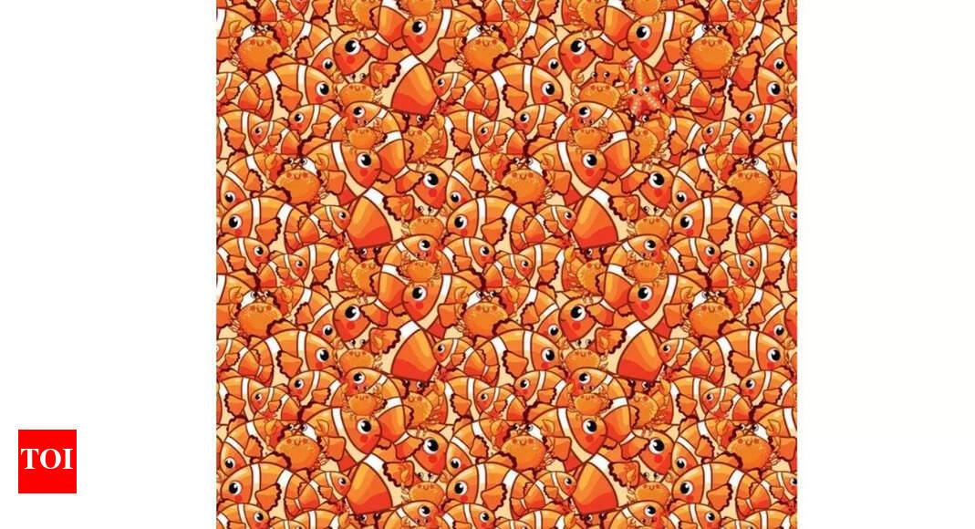 Optical Illusion: Can your eyes beat the clock? Find the hidden starfish in 7 seconds! | – The Times of India