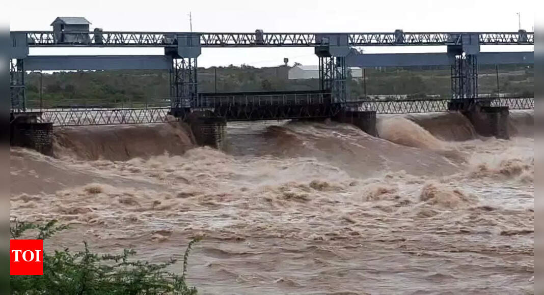 Punjab govt suspends 3 officials after Madhopur headworks gates collapse