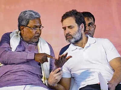  Karnataka govt forms SIT; to probe 'vote deletion' on Aland seat