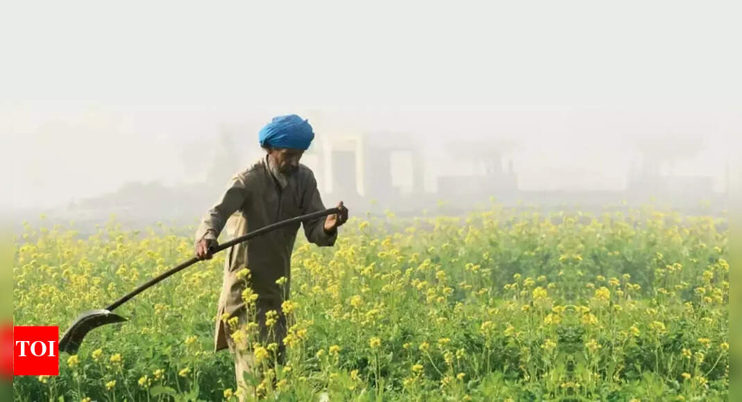 Amritsar inducts AirCare Centre fellows into farm fire task force