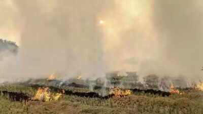 Amritsar inducts AirCare Centre fellows into farm fire task force