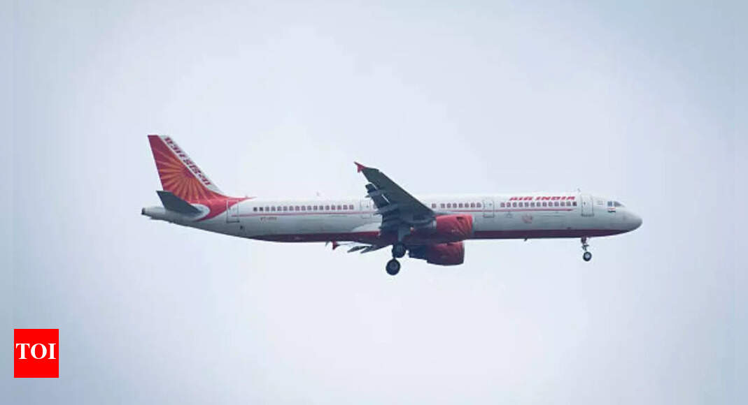 H1B visa flight fare surge: India-US airports face rise in last-minute bookings