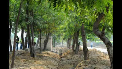 ‘2k trees may be impacted for Dwarka sports campus’