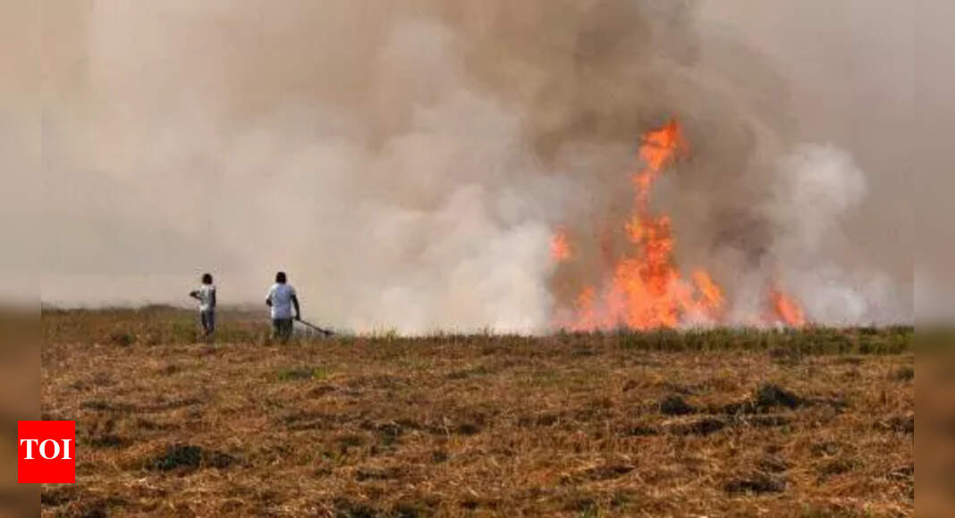 Stubble burning : 48 fires, 8 FIRs, 13 red entries in just 5 days