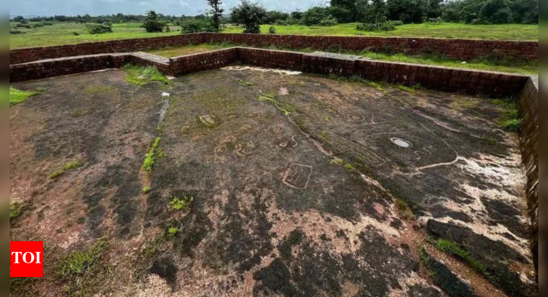 Konkan coast geoglyphs may be 24,000 years old, says state directorate of archaeology