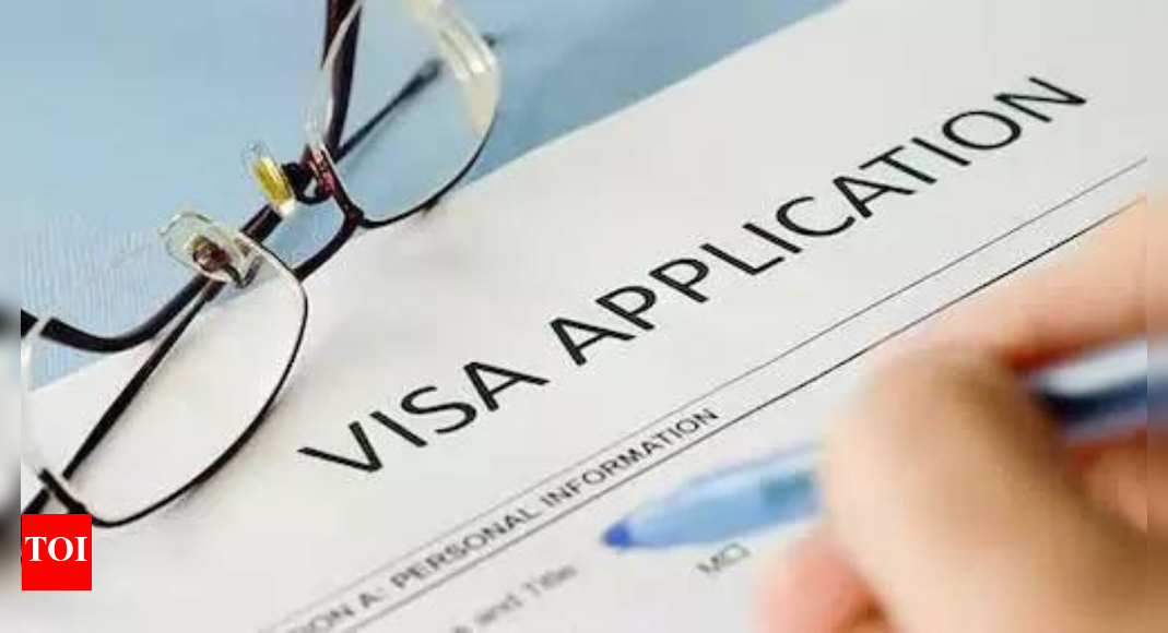 ‘No employer will pay $100K for me’: US H-1B visa fee hike sparks anxiety