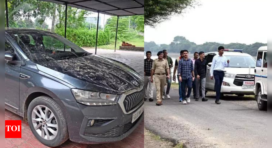 Birthday bash turns tragic in Gujarat: 25-year-old stabbed to death by robber