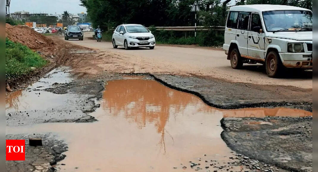 Bengaluru residents protest, demand pothole-free roads