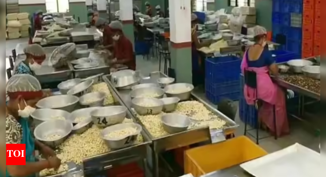 Cashew industry urges M23 variety introduction to boost yield, quality & revenue in Andhra Pradesh