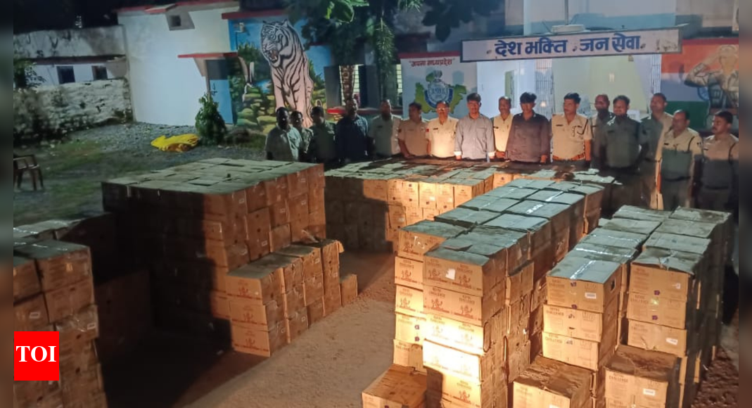 Ahead of Bihar polls, truck carrying Rs 48 lakh liquor to state busted in MP: 869 cartons of bottles hidden seized