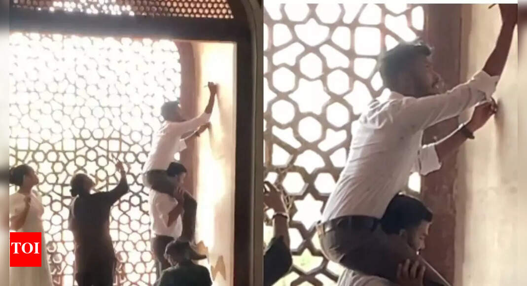 ‘Zero civic sense’: Tourists 'vandalise' Humayun’s Tomb in Delhi