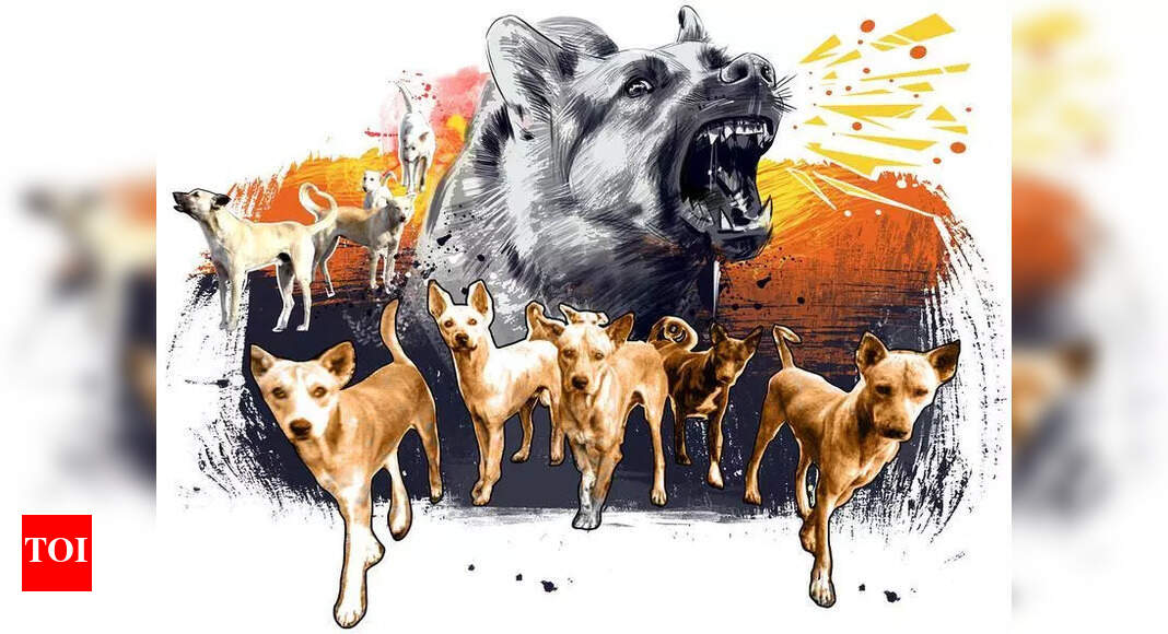 Stray dog attacks leave Kalagi residents fear for safety