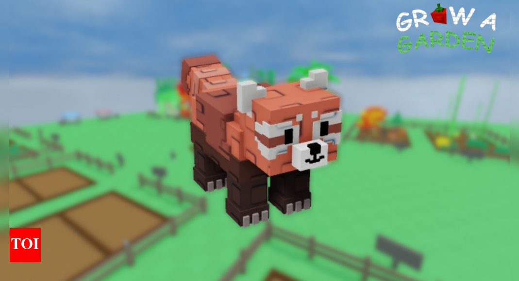 How to get Red Panda in Grow a Garden