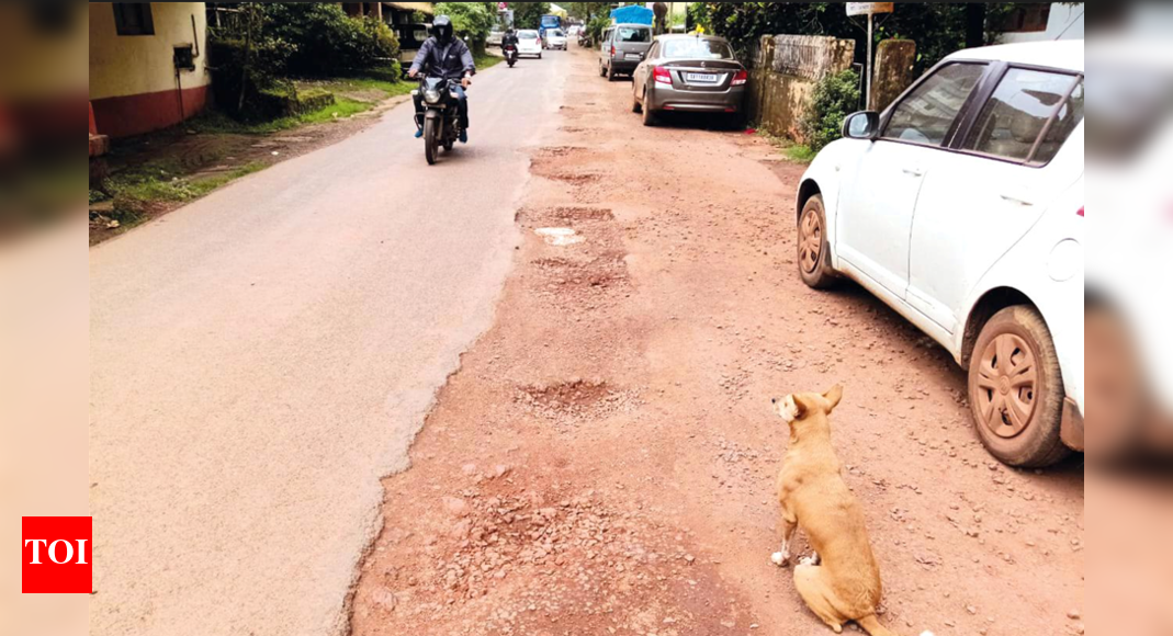 Bicholim town plagued with potholed roads, littered rivulet