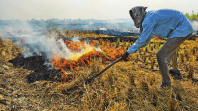 Foul air season: Farm fires start in north India; impact on Delhi negligible so far