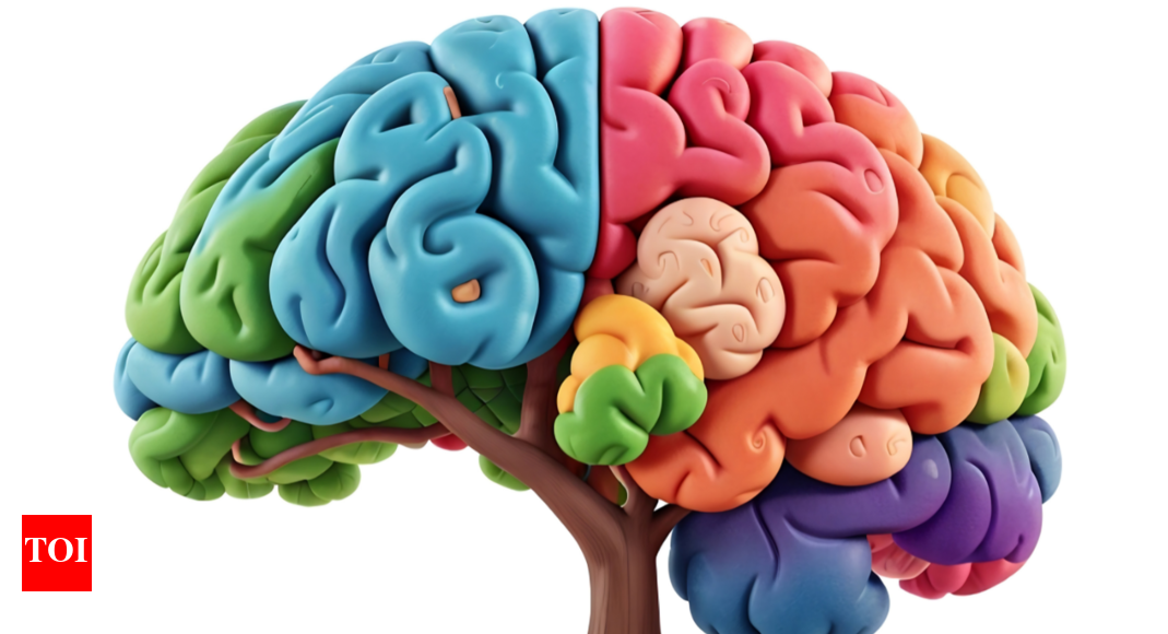 3 exercises that can rewire the brain and improve cognitive function