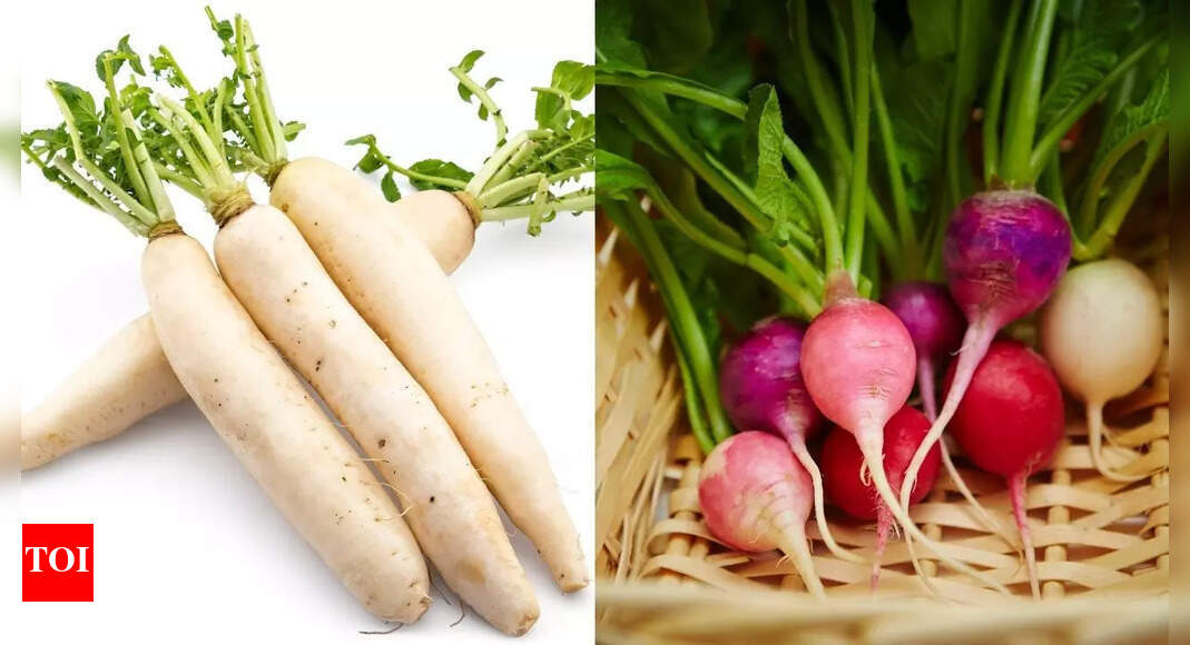 Radish or Turnip: Which supports blood sugar, weight control, and overall wellness