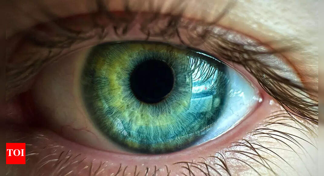 Why our eyes are blue, green, brown, or hazel: The science and genetics behind eye colour