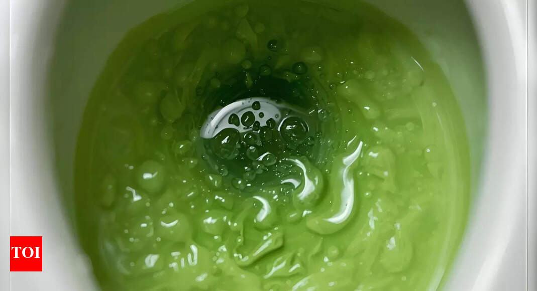 Why is your poop green: Common causes, studies, and when to worry