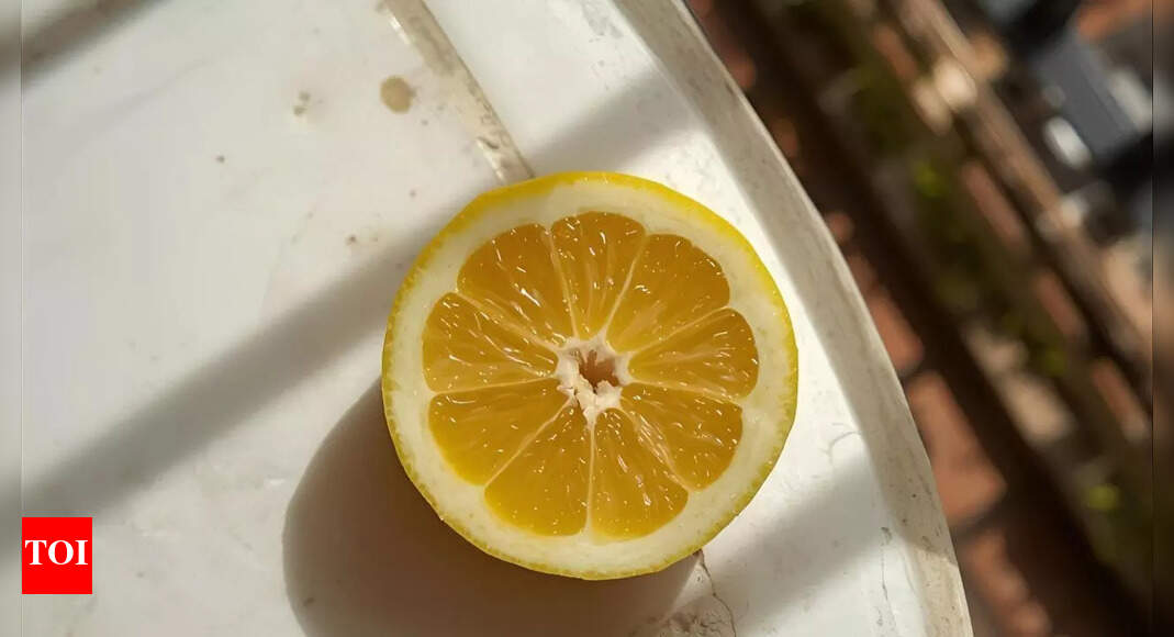 How keeping a cut lemon in your balcony refreshes your home and repels insects