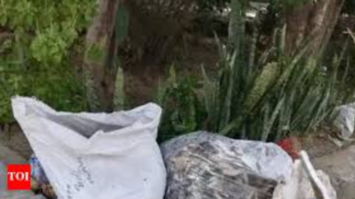 Madhya Pradesh: Sanitation workers dump garbage at resident’s house; complaint on CM helpline