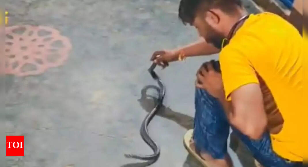 Deadly stunt: Man dies of snakebite while filming video in UP's Muzaffarnagar