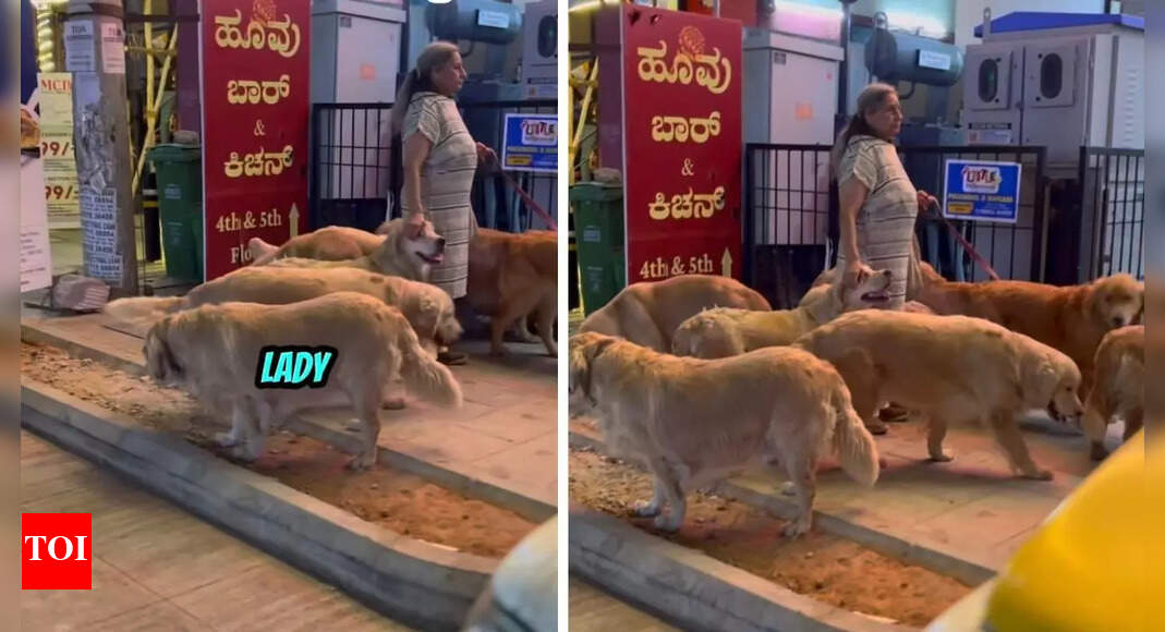 Meet Bengaluru’s ‘dog lover aunty’: The woman who walks 28 Golden Retrievers regularly