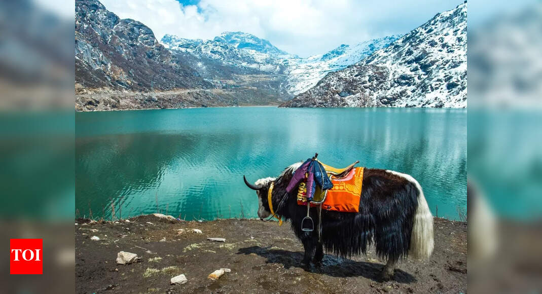 6 adventure experiences in Sikkim for thrill seekers – The Times of India