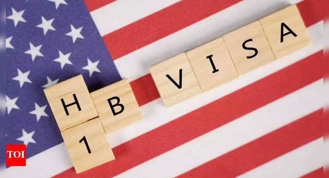 US-based AI startup CEO on H-1B visa price hike: If your company doesn’t value you enough…