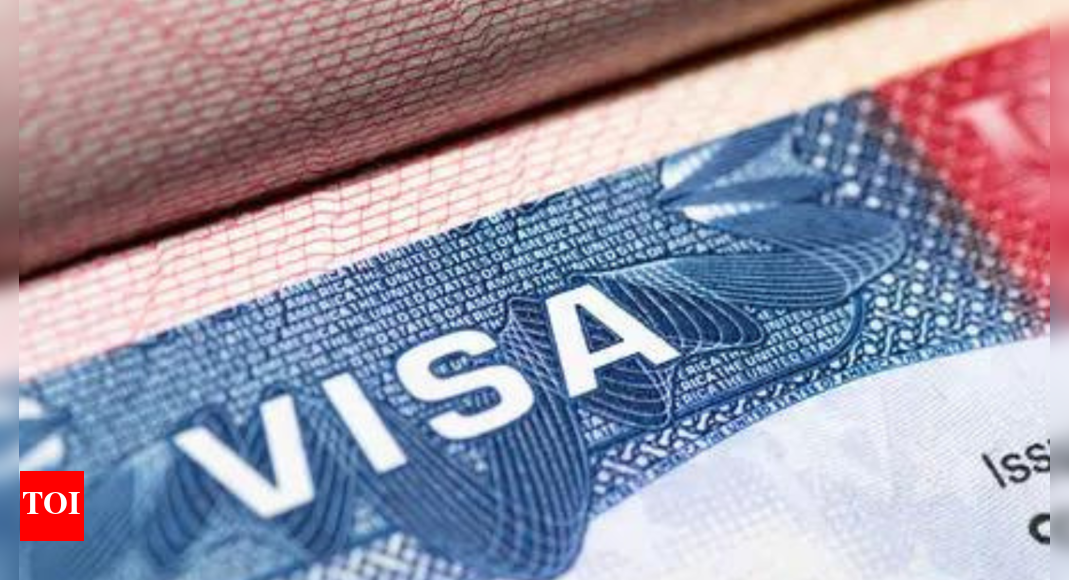 US visa curbs, weak demand lead to decline in IT stocks