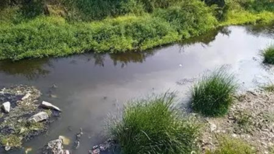 From 351 in 2018 to 296 in 2025: No. of polluted river stretches declining