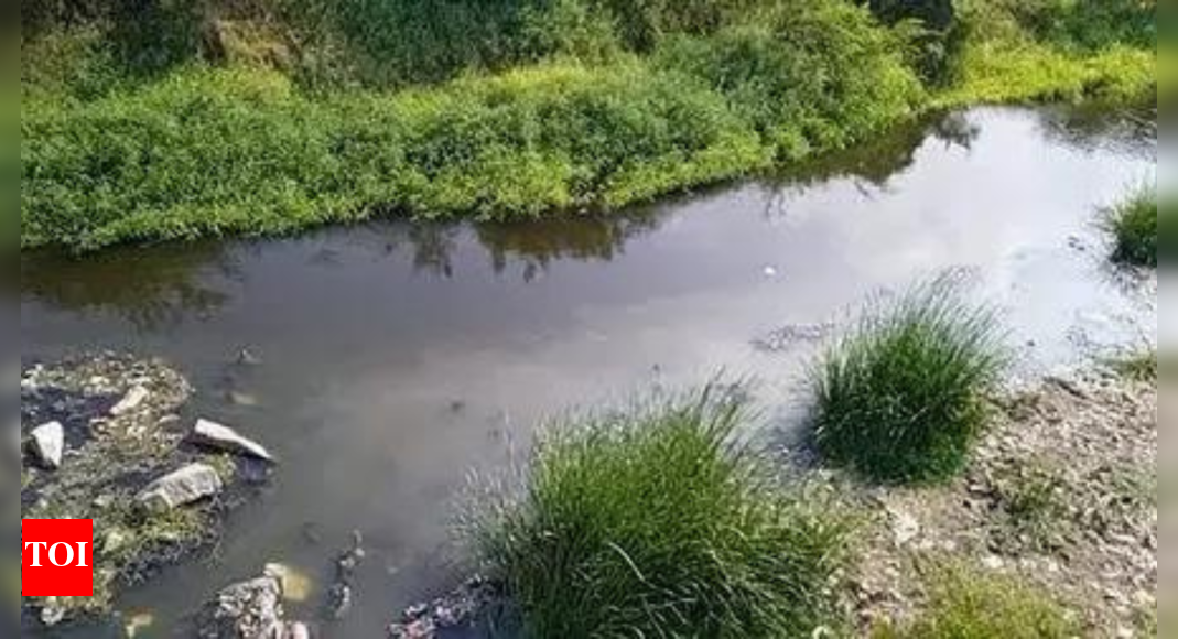 From 351 in 2018 to 296 in 2025: No. of polluted river stretches declining