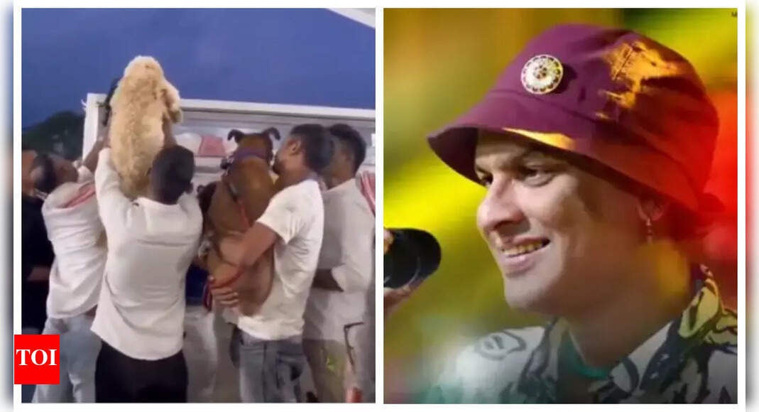 <div>Zubeen Garg's wife brings their dogs to his coffin for final goodbye</div>