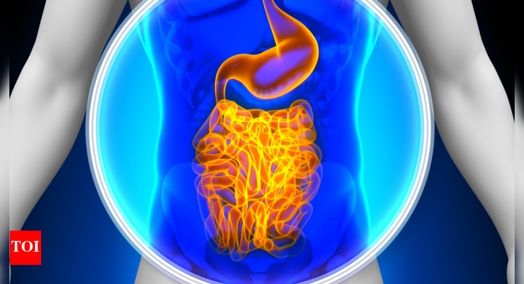 3 food combinations to avoid for better gut health, according to leading Gastroenterologist