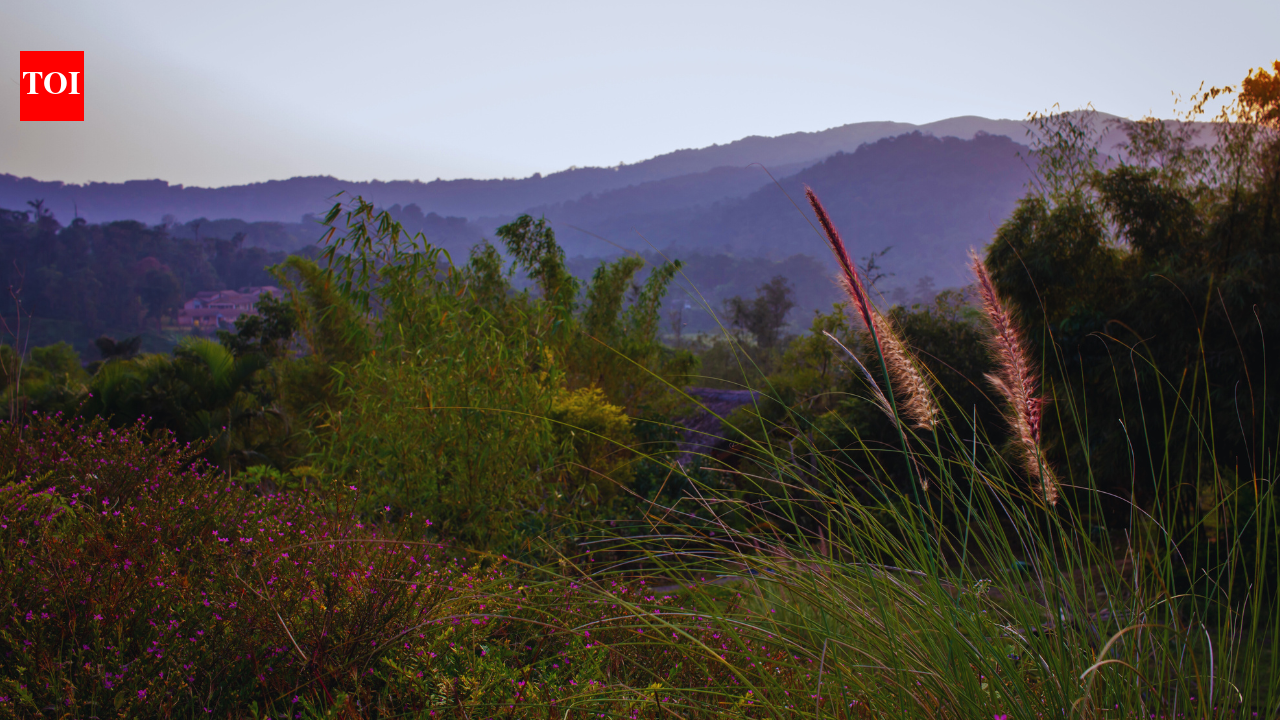 6 scenic places around Coorg for that ultimate South Indian Holiday