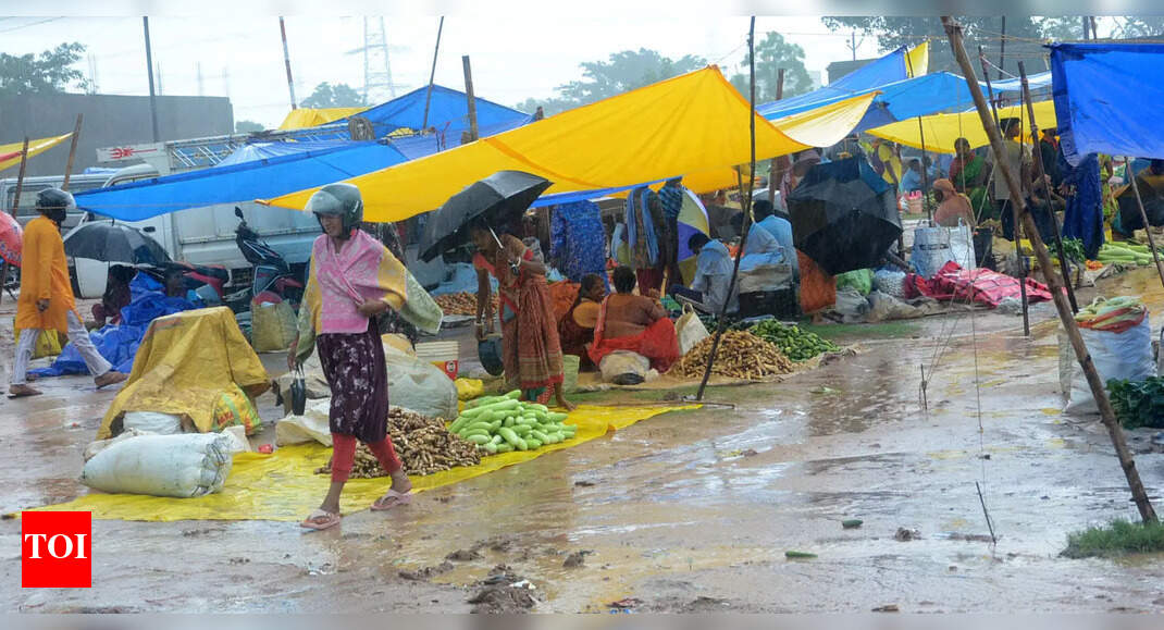 Ranchi Vegetable Prices Surge Amid Navratri Due to Recent Rain