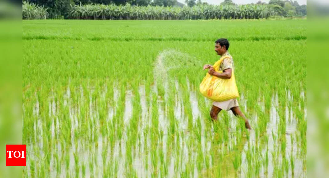 Farmers protest over urea shortage in Ganjam district