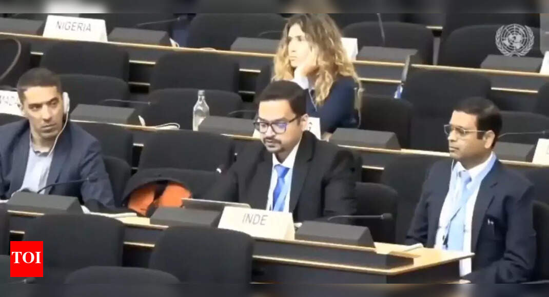 <div>'Nation that bombs own people': India tears into Pakistan at UNHRC; calls for objectivity</div>