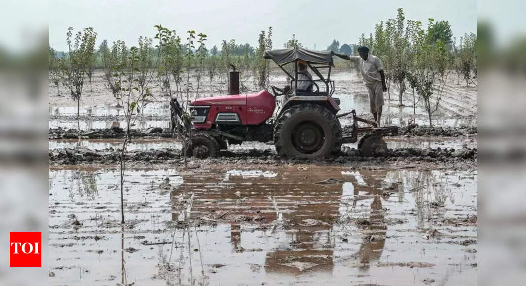 Abtak.com - Politics Business - News Image