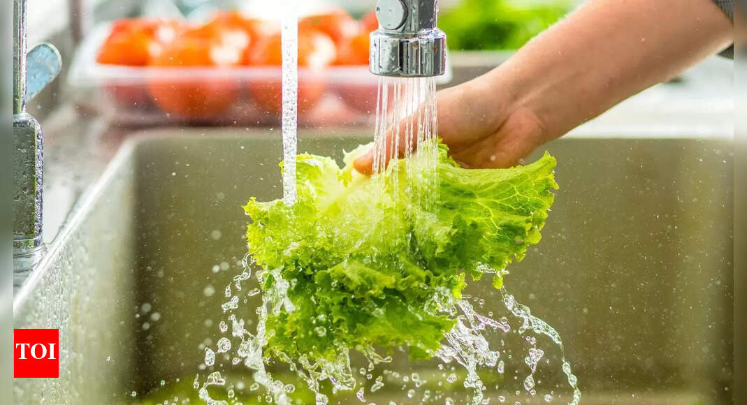 How to properly clean vegetables before refrigeration: Best methods to keep them fresh longer