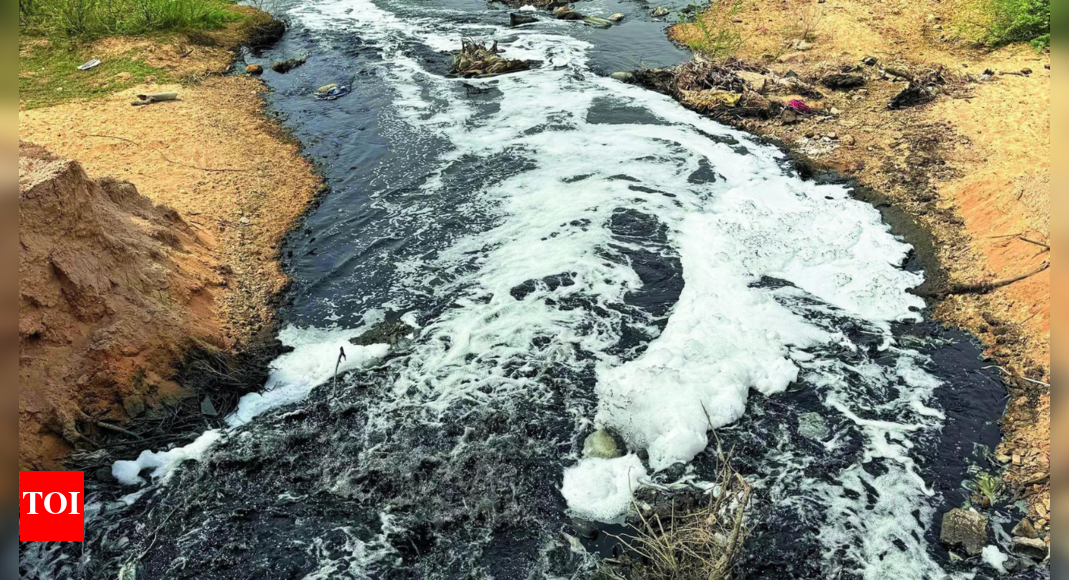 SC to pass order in bid to save polluted Rajasthan river that impacts 2 million lives