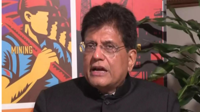 ‘We provide huge amount of talent’: Piyush Goyal amid Donald Trump’s H-1B fee hike; highlights clean energy potential – The Times of India