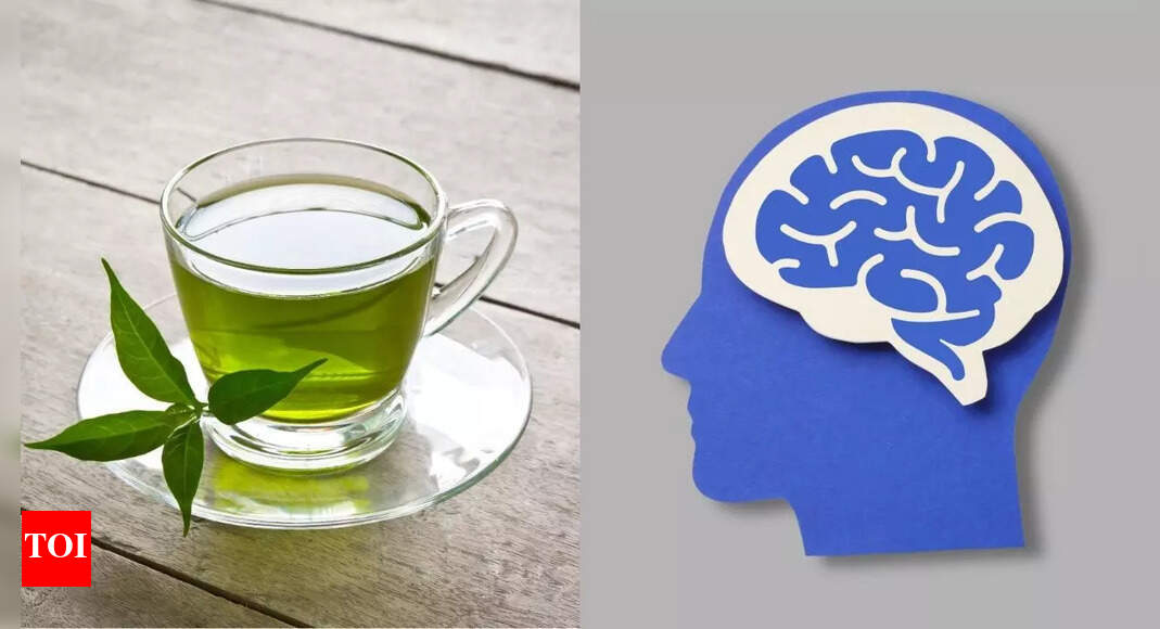 Green tea’s new magic: Harvard study shows it can sharpen the brain and slow mind aging