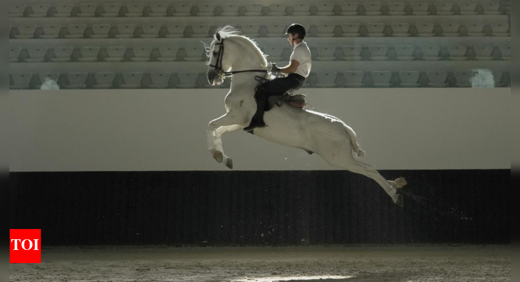 Abu Dhabi to open classical Horse riding school on Jubail Island in November