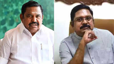 'CM candidate a problem, not AIADMK': TTV Dhinakaran targets Palaniswami; rules out return to NDA