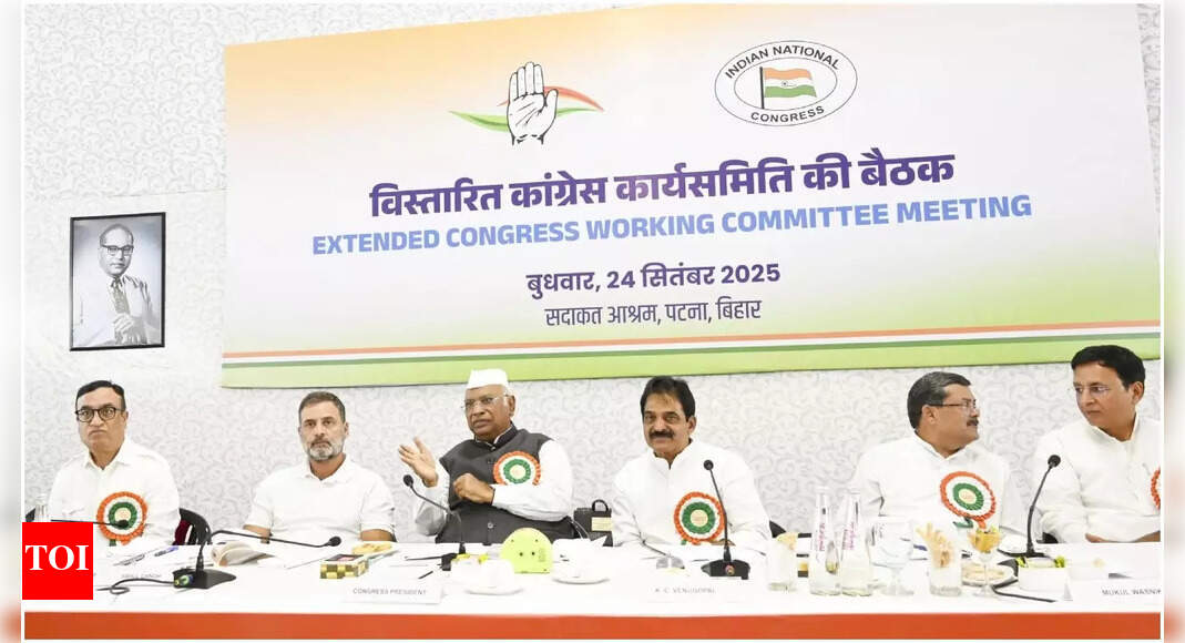 <div>Bihar SIR, PM Modi's 'huglomacy', Gaza: CWC resolution adopted at Patna meet - details</div>