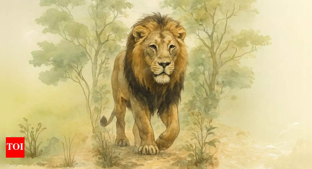 ‘They come to Gir determined to see a lion and they also get AC, spas and swimming pools. This is not ecotourism’