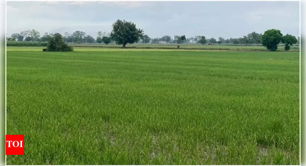 Corteva focused on providing science-based solutions to farmers for climate-resilient future